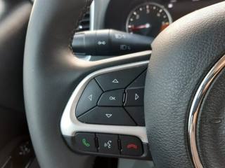 JEEP Renegade usata, con Cruise Control