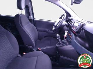 FIAT Panda usata, con Autoradio digitale