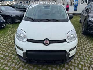FIAT Panda usata, con Servosterzo