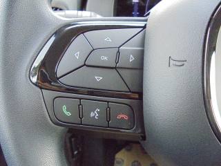 FIAT Panda usata 29