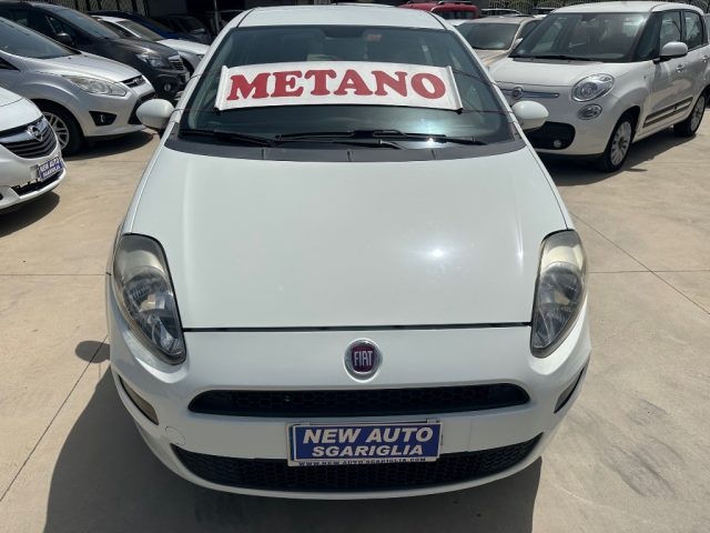 FIAT Punto usata, con Airbag Passeggero