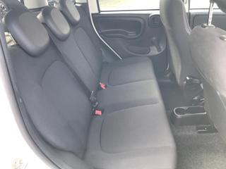 FIAT Panda Cross usata, con Fendinebbia