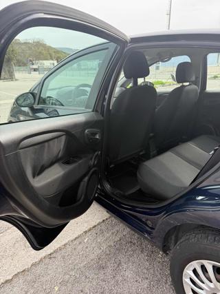 FIAT Punto usata 18