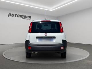 FIAT Panda usata, con Controllo trazione