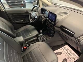 FORD EcoSport usata, con Cruise Control