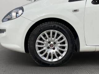 FIAT Punto usata 16