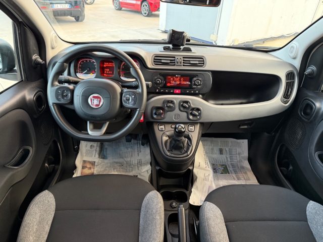 FIAT Panda usata 17