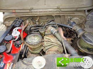 JEEP Willys usata 12