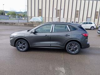 FORD Kuga usata, con Airbag Passeggero