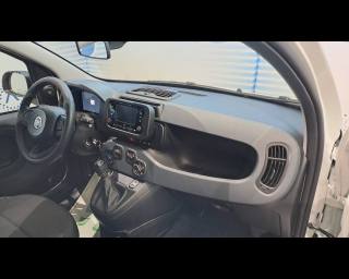 FIAT Panda usata 18