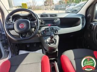 FIAT Panda usata, con Controllo trazione