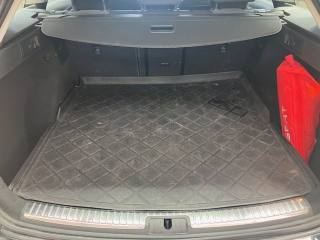 SEAT Leon usata, con Servosterzo