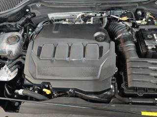 SKODA Karoq usata, con Frenata d