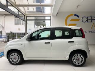 FIAT Panda usata, con Airbag laterali