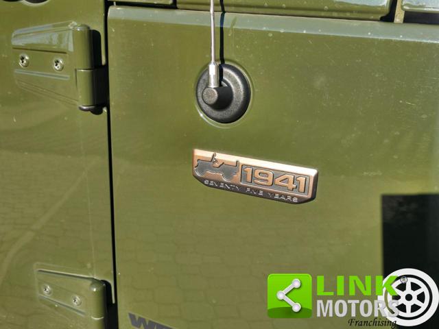 JEEP Wrangler usata, con Fendinebbia