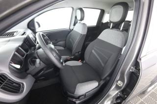 FIAT Panda usata 2