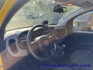FIAT Panda Cross usata 6