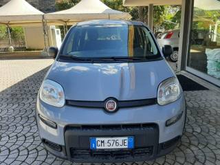 FIAT Panda usata, con ESP