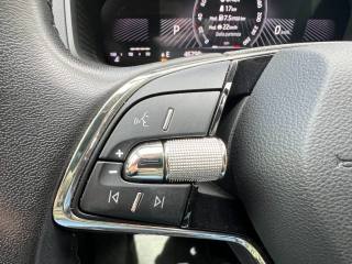 SKODA Karoq usata 14