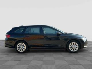 SKODA Octavia usata 5