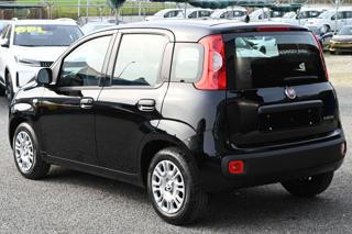 FIAT Panda usata, con Chiusura centralizzata