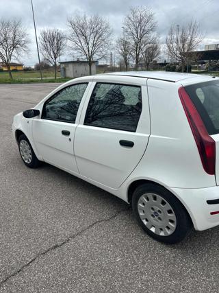 FIAT Punto usata 4