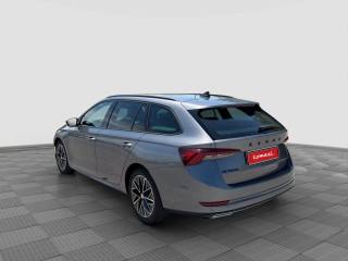 SKODA Octavia usata 2