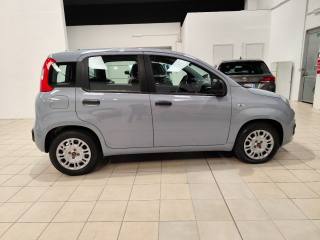 FIAT Panda usata, con Antifurto