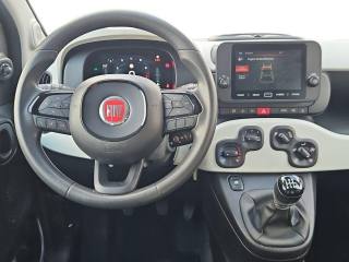 FIAT Panda Cross usata, con Controllo trazione