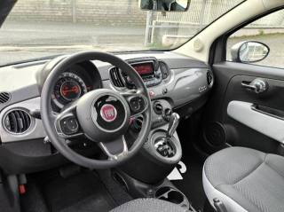 FIAT 500 usata 5