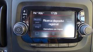 FIAT 500L usata 109