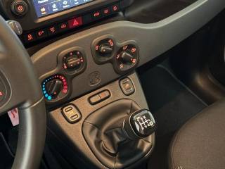 FIAT Panda Cross usata, con Servosterzo
