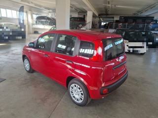 FIAT Panda usata, con Cerchi in lega