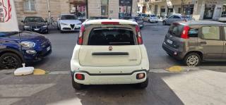 FIAT Panda usata, con Fendinebbia