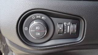 JEEP Renegade usata 86