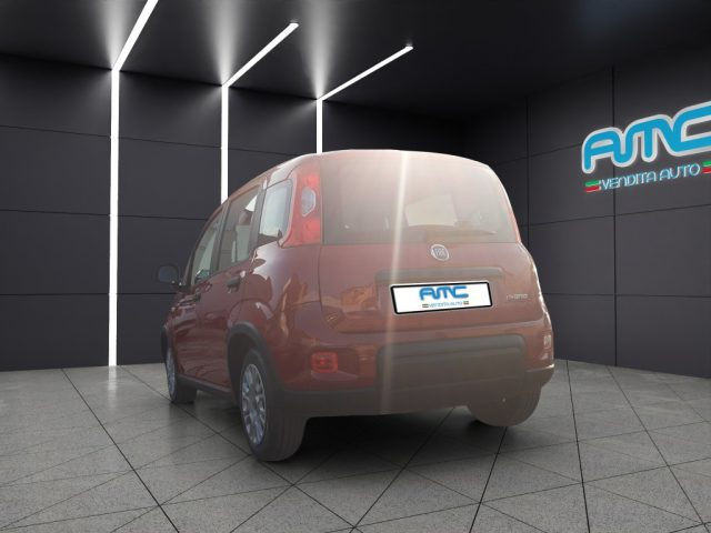 FIAT Panda usata, con Airbag Passeggero