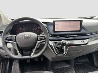 MAXUS Other usata 9