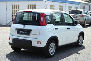 FIAT Panda usata, con Airbag Passeggero