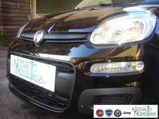 FIAT Panda usata, con Alzacristalli elettrici