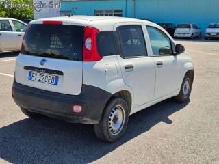 FIAT Panda usata 7