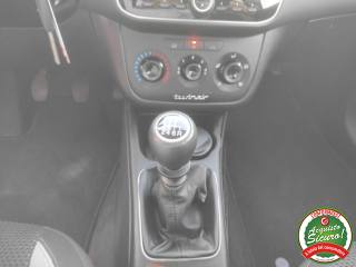 FIAT Punto usata 14