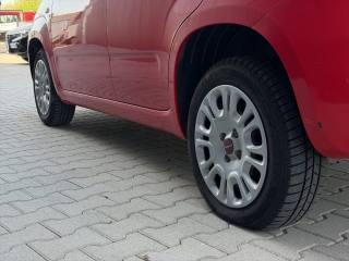 FIAT Panda usata 17