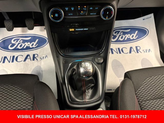 FORD Puma usata, con Vetri oscurati