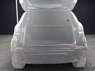 LAND ROVER Range Rover Evoque usata, con Volante in pelle