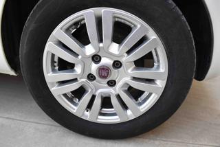 FIAT Punto usata 18