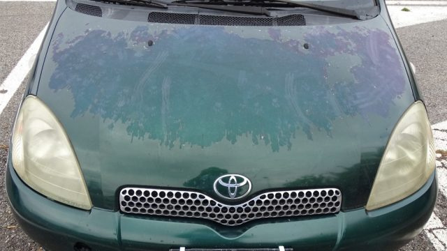 TOYOTA Yaris usata 34