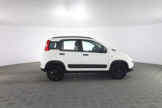 FIAT Panda usata 2