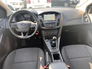 FORD Focus usata, con Cronologia tagliandi