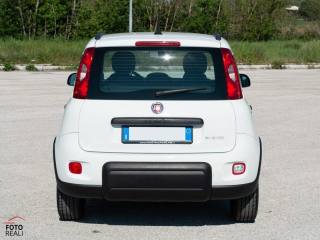 FIAT Panda usata, con Antifurto