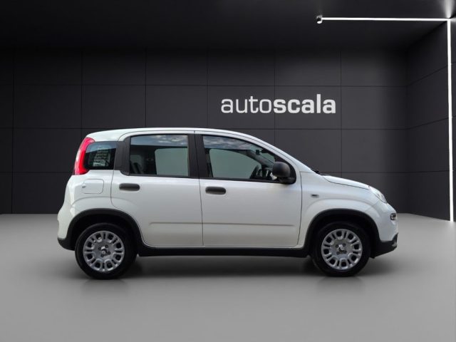 FIAT Panda usata, con Boardcomputer
